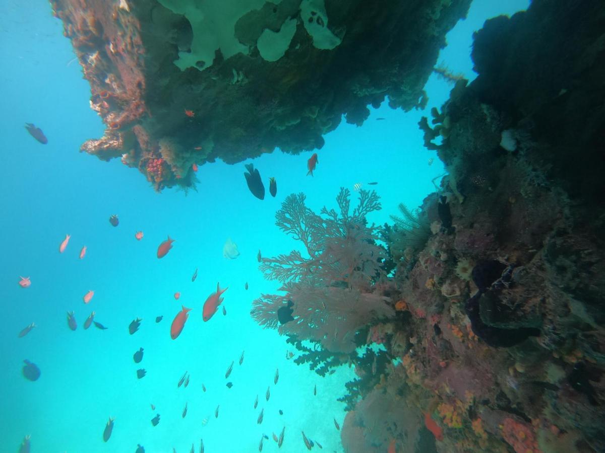 Meos Ambower Homestay Raja Ampat Fam Kültér fotó