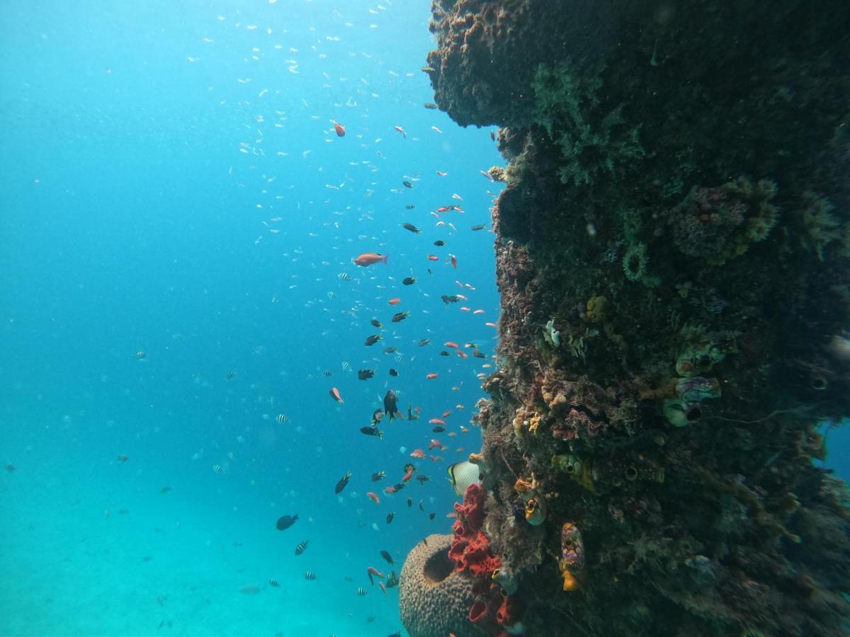Meos Ambower Homestay Raja Ampat Fam Kültér fotó