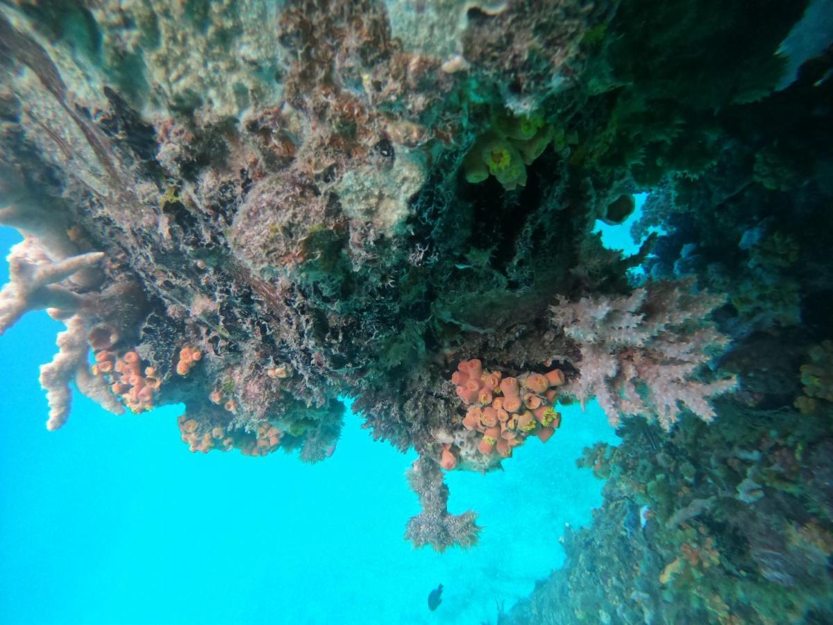 Meos Ambower Homestay Raja Ampat Fam Kültér fotó