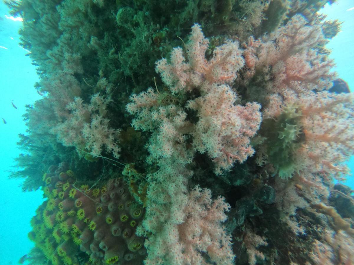 Meos Ambower Homestay Raja Ampat Fam Kültér fotó