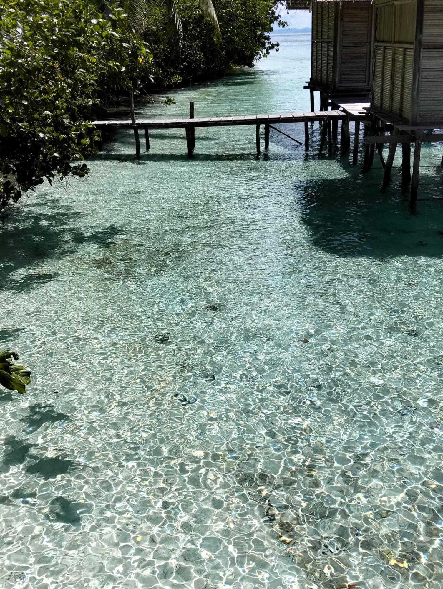 Meos Ambower Homestay Raja Ampat Fam Kültér fotó