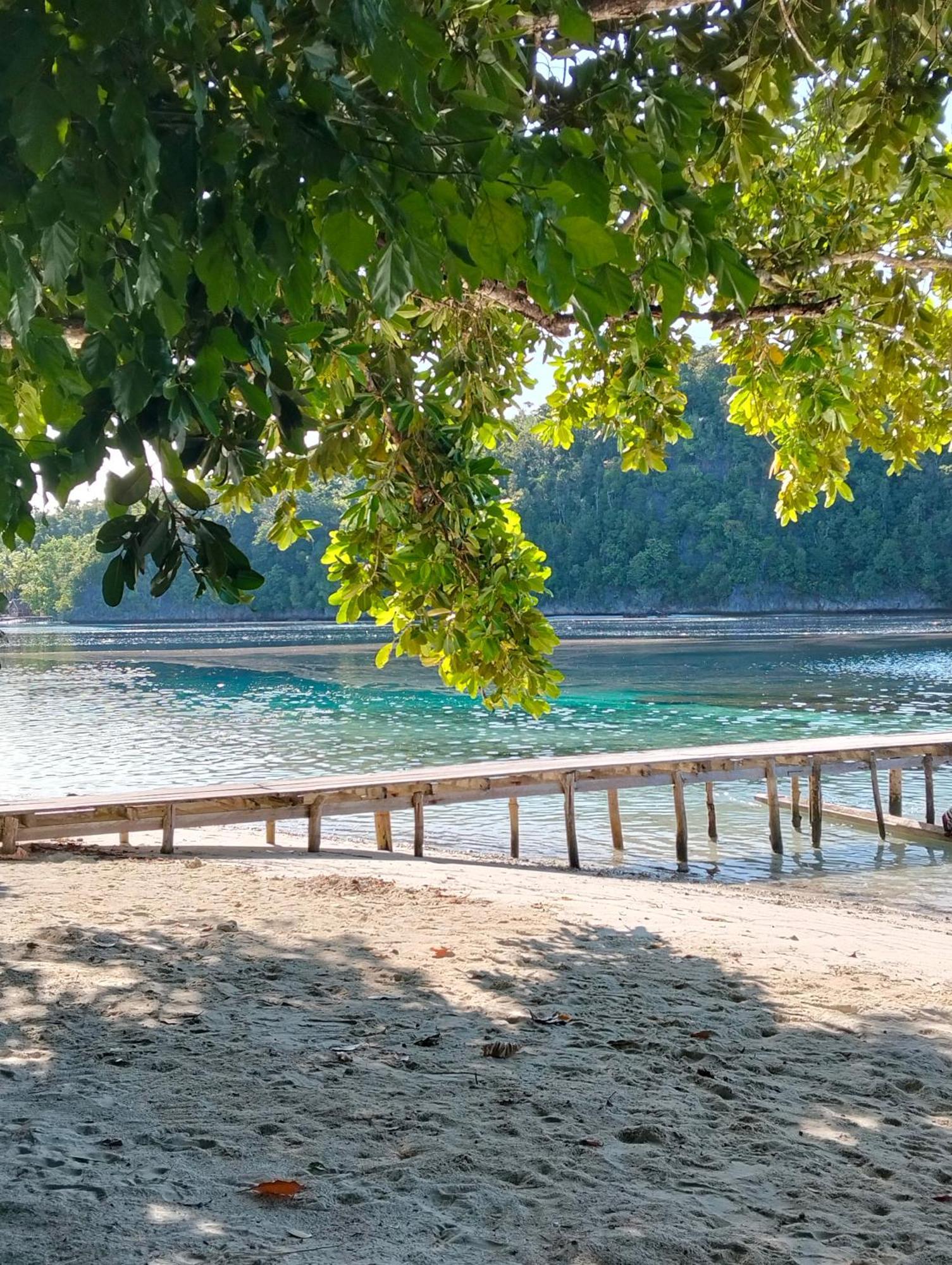 Meos Ambower Homestay Raja Ampat Fam Kültér fotó