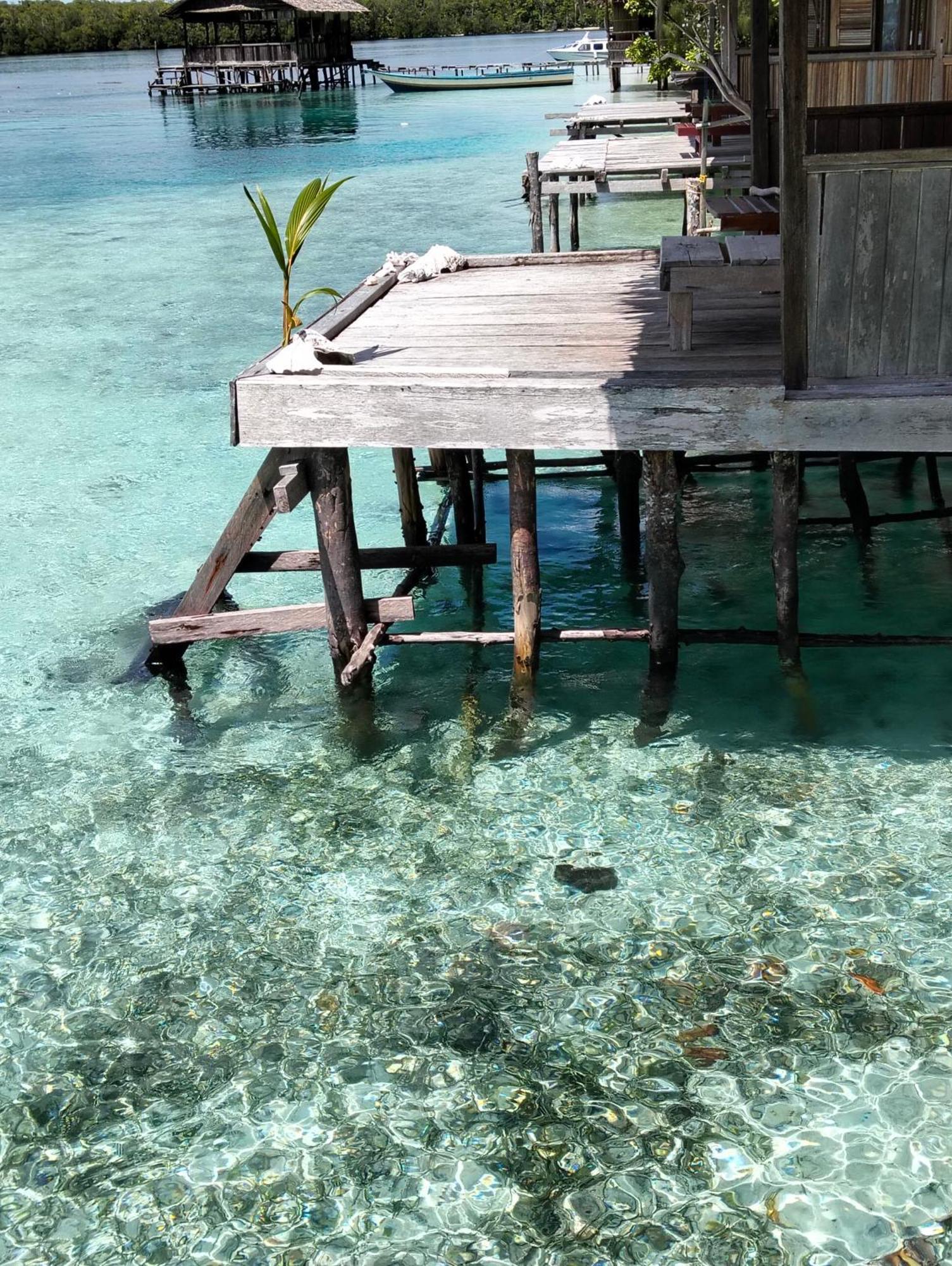 Meos Ambower Homestay Raja Ampat Fam Kültér fotó