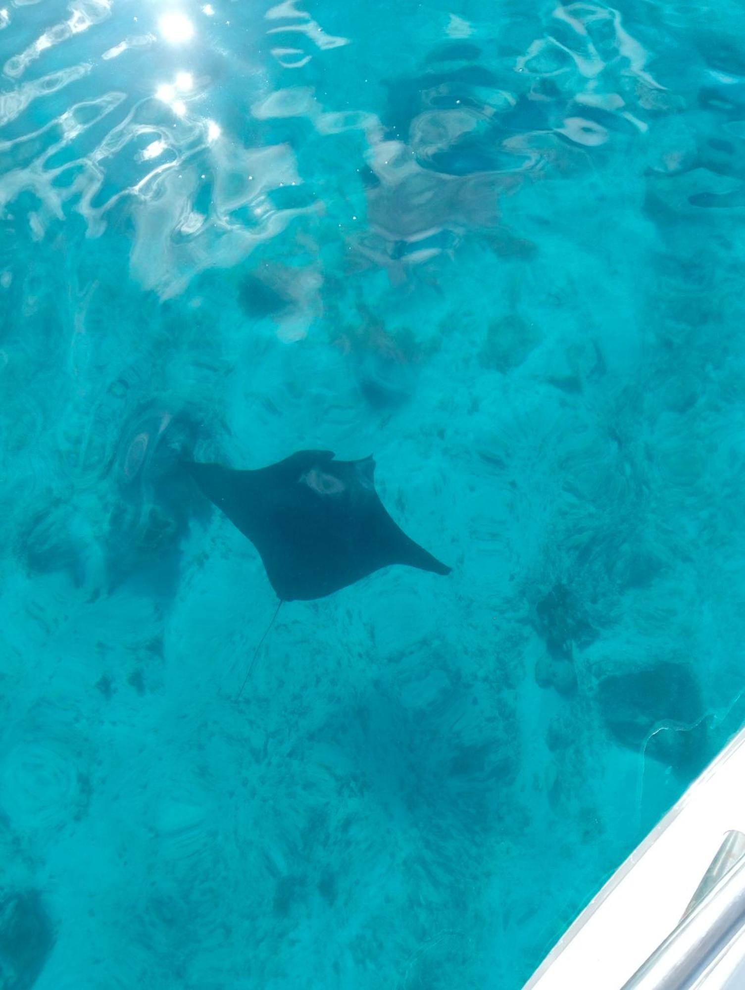 Meos Ambower Homestay Raja Ampat Fam Kültér fotó